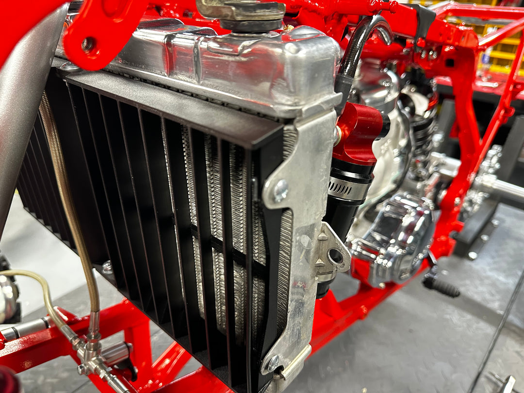 TRX250R Radiator Guards